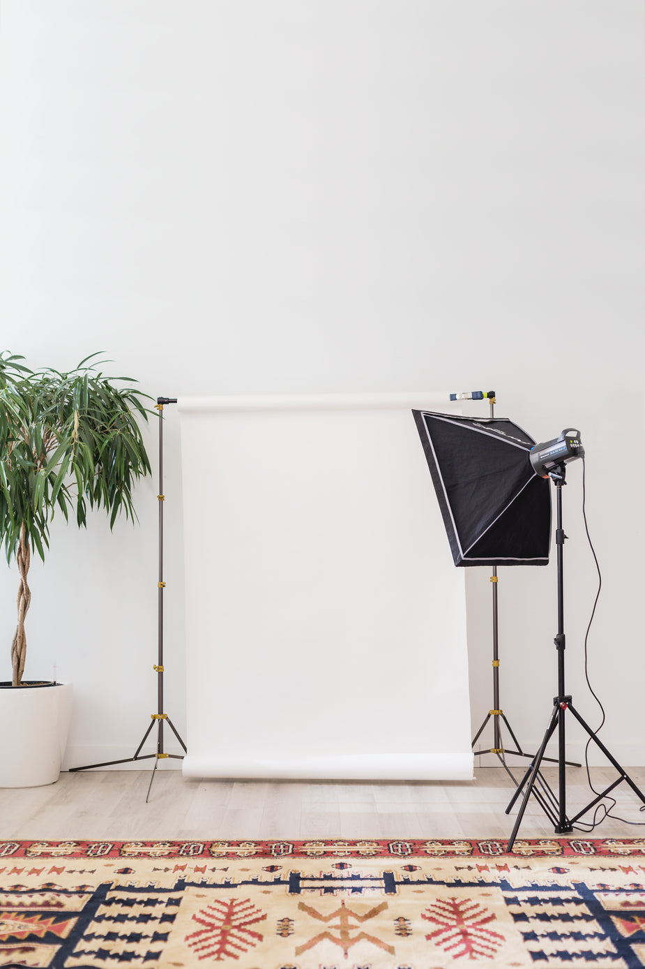 Light and Backdrop Photography Photo by Matthew Henry on Burst by Shopify